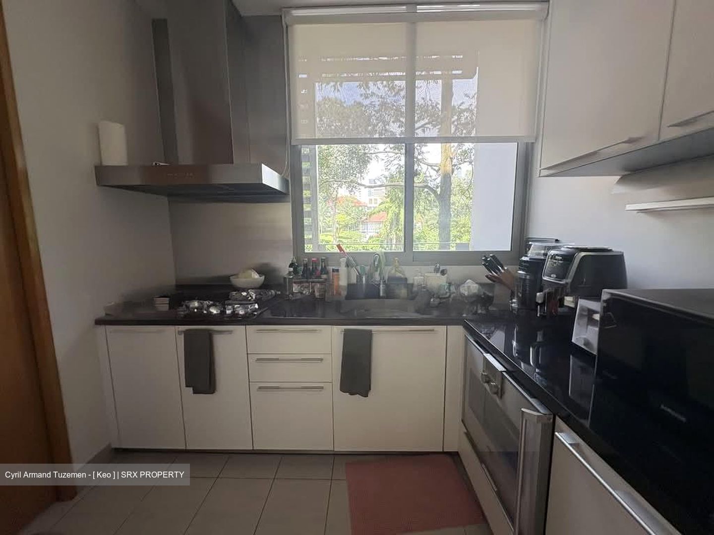 Beaufort On Nassim (D10), Condominium #557582181